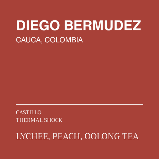 COFFEE 03 - DIEGO BERMUDEZ
