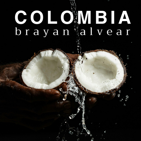 COFFEE 01 - BRAYAN ALVEAR