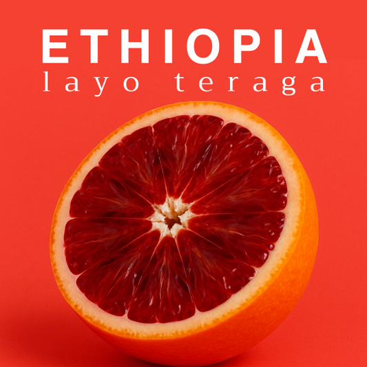 ETHIOPIA - LAYO TERAGA