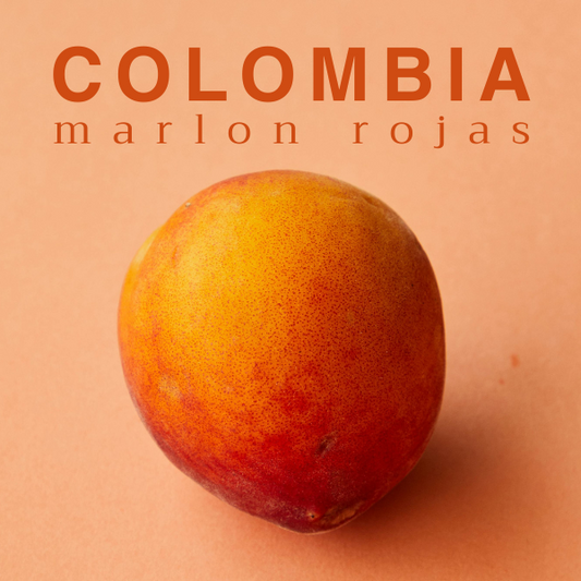 COFFEE 02 - MARLON ROJAS