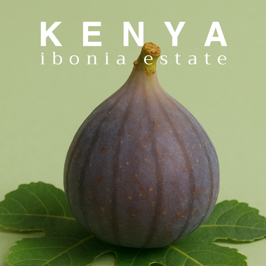 KENYA - IBONIA ESTATE