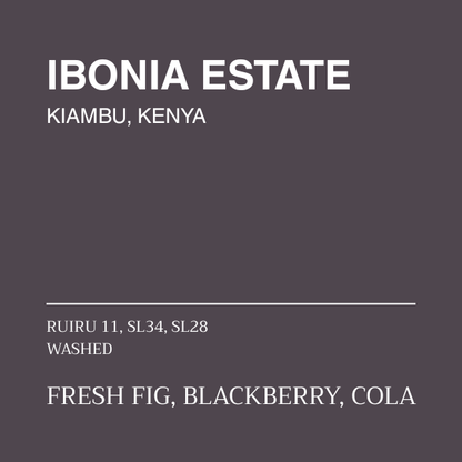 KENYA - IBONIA ESTATE