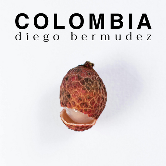 COFFEE 03 - DIEGO BERMUDEZ